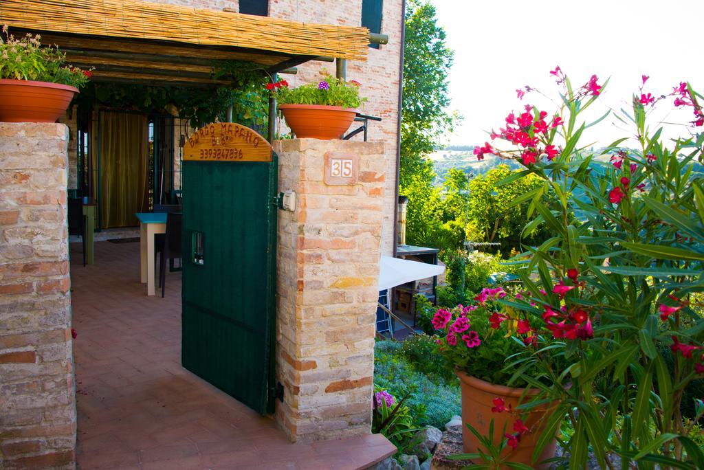 B&B Borgo Marano Купра-Мариттима Экстерьер фото